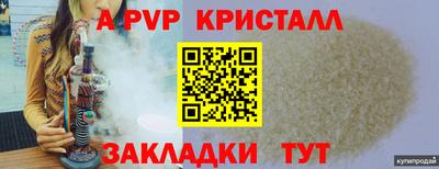шишки Заводоуковск