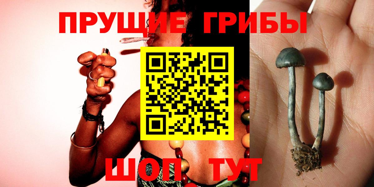 купить закладку  Псилоцибиновые грибы Magic Shrooms  Вход с VPN  Грязи 